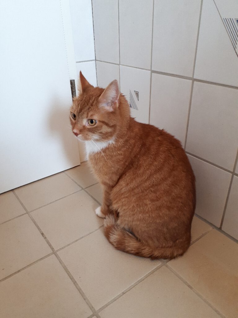 Dieses Bild hat ein leeres Alt-Attribut. Der Dateiname ist Chilli-2-768x1024.jpg