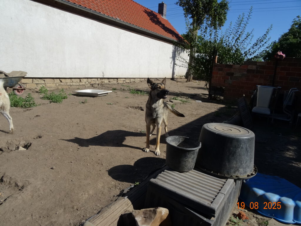 DSC01620