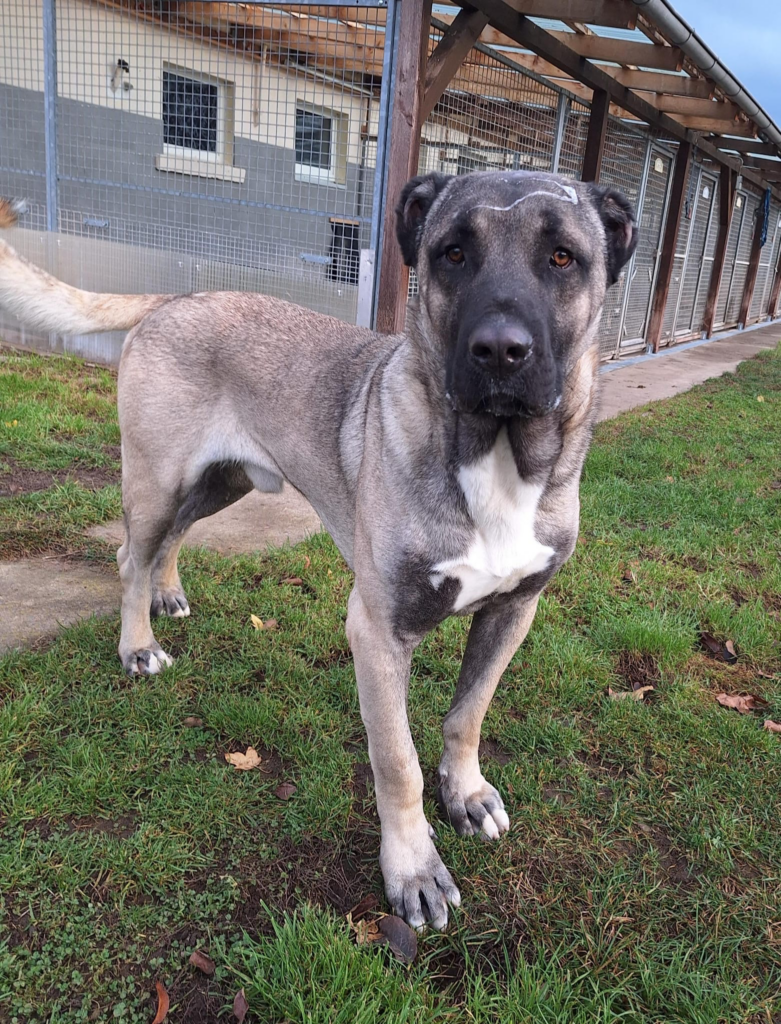 5a336919 9e23 429b 81b5 26ca3b2bcf23 1