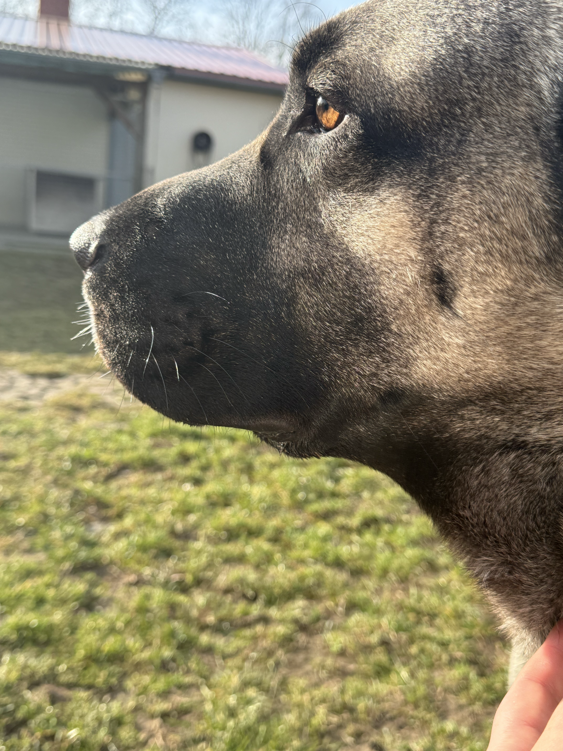 IMG 9982 edited 1 scaled