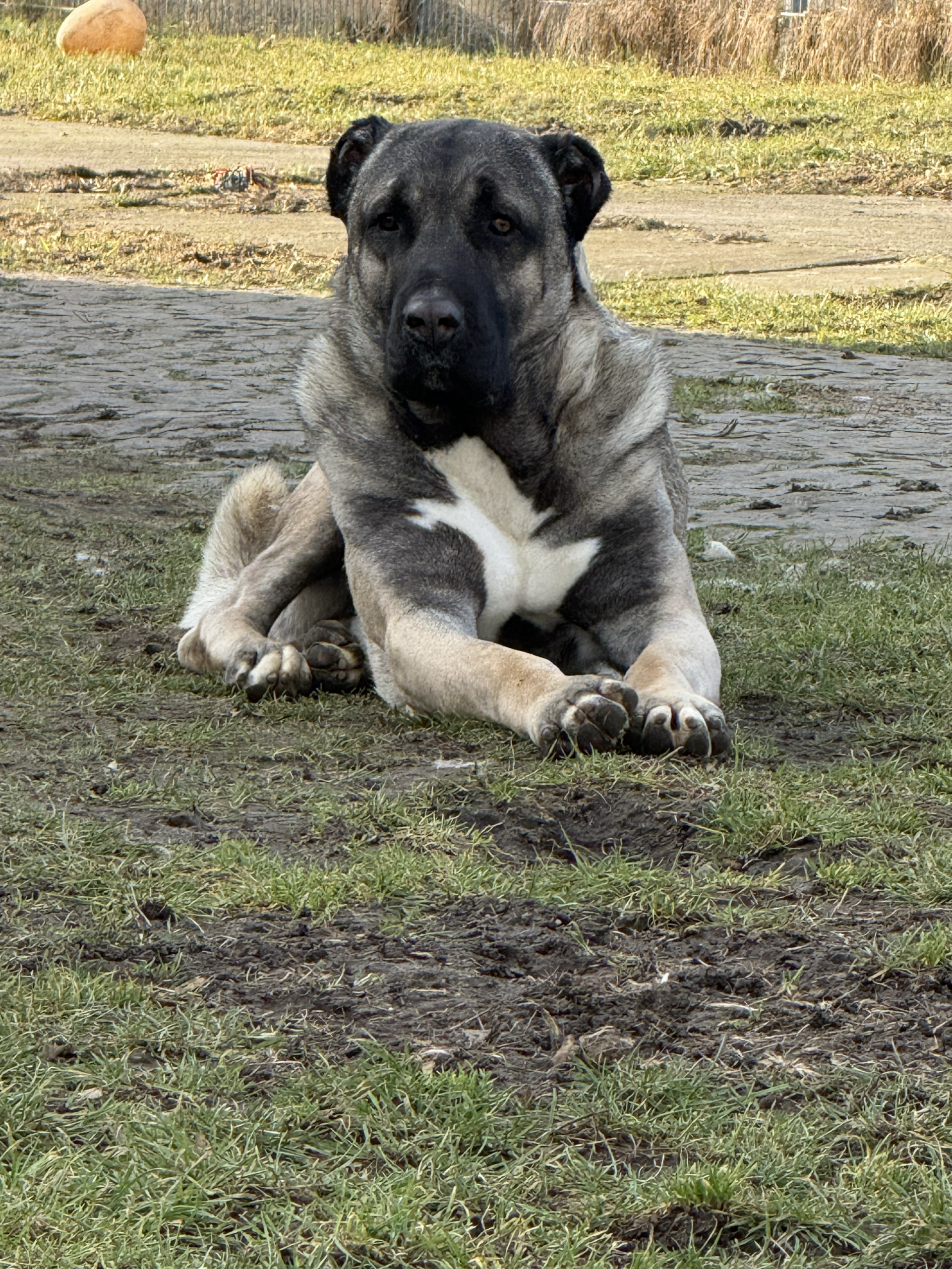 IMG 9992 edited scaled